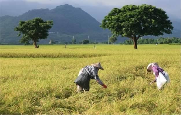 動整理創辦理念