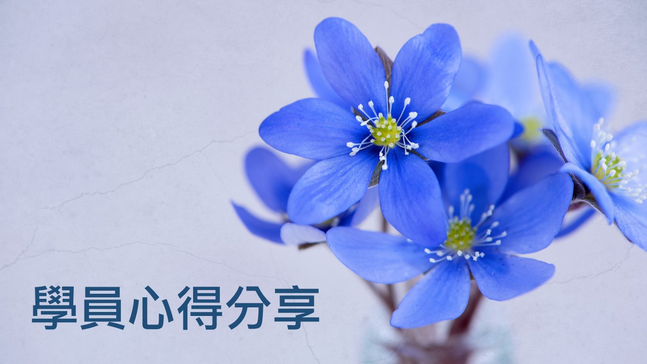學員心得分享